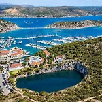Maslina New Rogoznica (Sibenik-Knin)