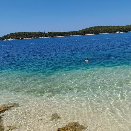 Maslina New * Rogoznica (Sibenik-Knin)