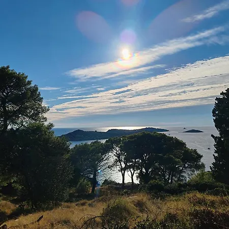 Maslina New * Rogoznica (Sibenik-Knin)