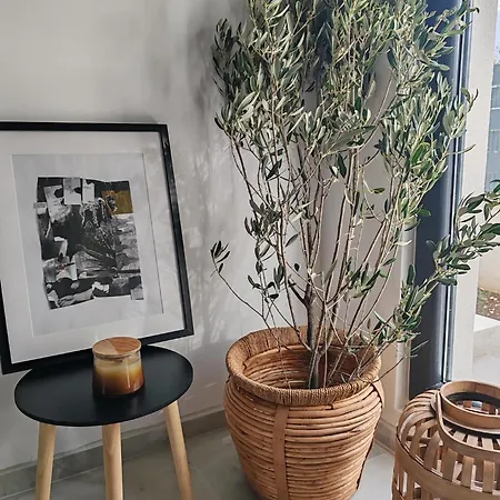 Maslina New Vila Rogoznica (Sibenik-Knin)