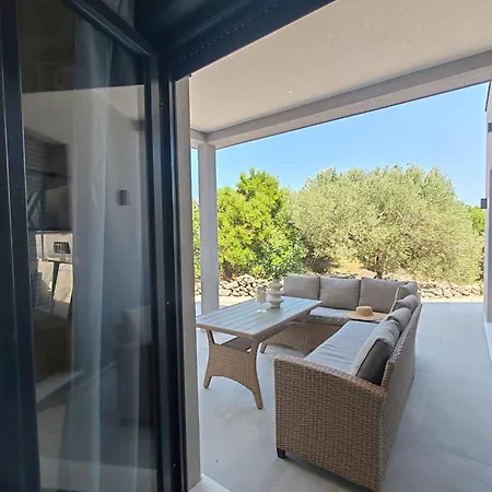 Maslina New * Rogoznica (Sibenik-Knin)