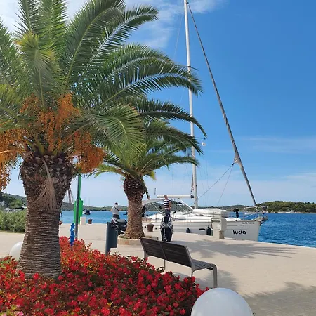 فيلة Maslina New روغوزنيكا