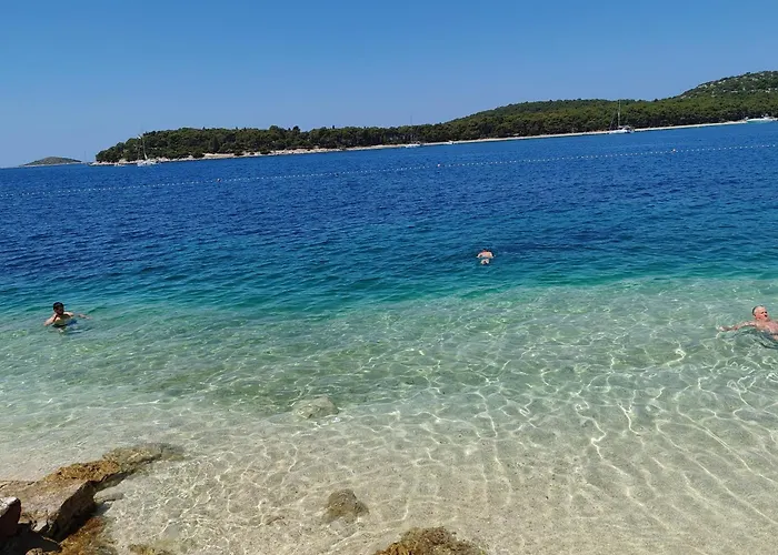 Maslina New * רוגוזניצה