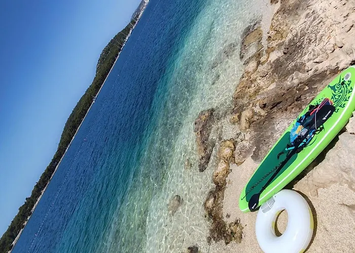 Maslina New * ロゴズニッツァ