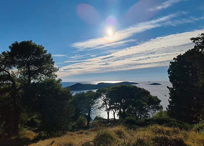 Maslina New * רוגוזניצה