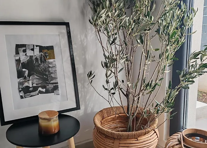 Maslina New ヴィラ ロゴズニッツァ