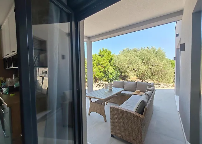 Maslina New * ロゴズニッツァ